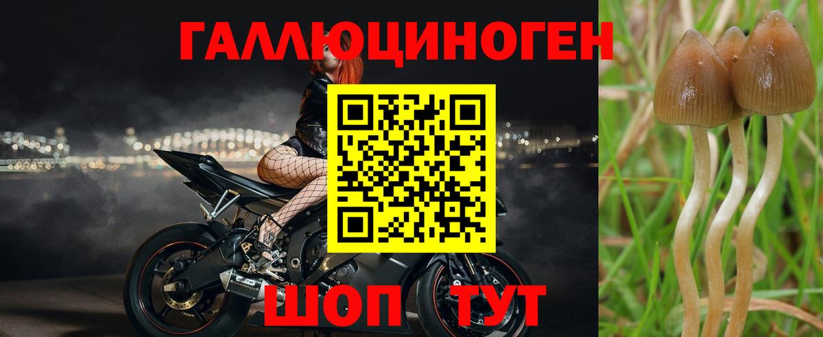 Галлюциногенные грибы мицелий  Галлюциногенные грибы прущие грибы  Вход с VPN  Орехово-Зуево 
